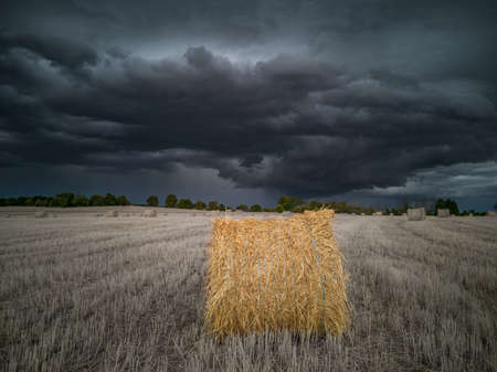Ball of straw under the stormy skyの写真素材