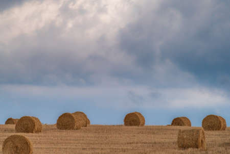 Balls of straw under the cloudy sky