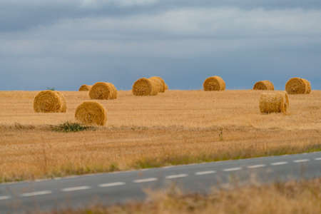 Road and straw balls under the stormy skyの写真素材