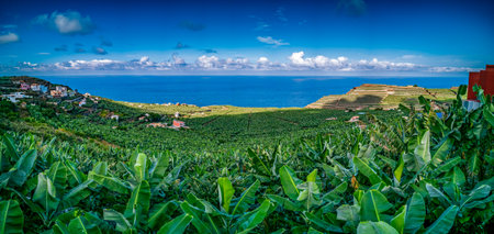 Spectacular banana fields panorama in La Palma islandの写真素材