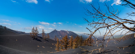 Cumbre vieja volcano disaster panorama with crather and ashの写真素材