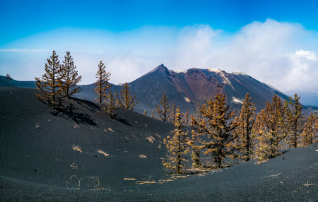 Cumbre vieja volcano disaster with crather and ashの写真素材