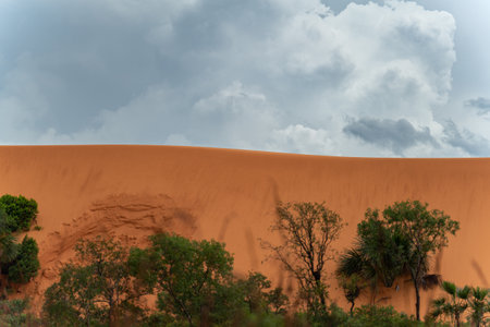 Majestic sand dune rising above lush jungle, under cloudy sky with vibrant colors.の写真素材