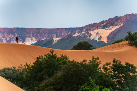 Exploring the Wilderness: Sand Dunes and Mountains in Jalapao, Brazilの写真素材