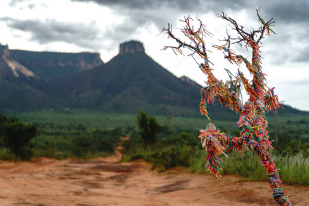 Multi-Colored Wishes Hanging on a Dry Tree in Jalapaoの写真素材