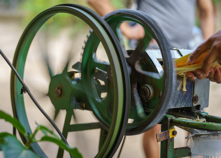 Tourist waiting for his sugarcane juice being prepared on a vintage machineの写真素材