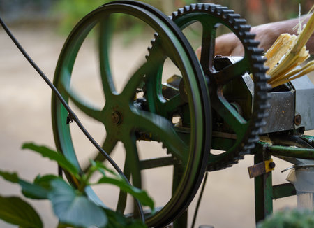 Old Sugar Cane Juicing Machine with Expert Hands in Operationの写真素材