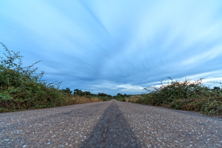 Lonely Country Road with Overgrown Vegetation and Soft Cloudy Skyの写真素材
