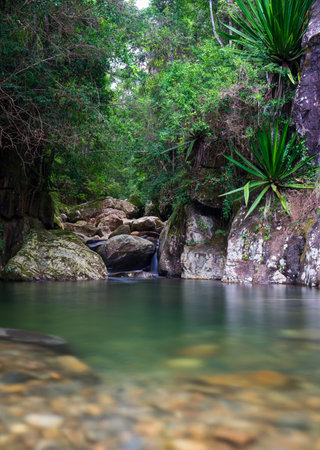 Tranquil Rainforest Scene with Silky River Flowing Through Rounded Rocks