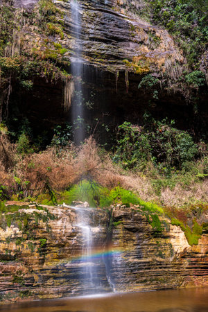 Tranquil Cascade Creating a Rainbow in Lush Wildernessの写真素材