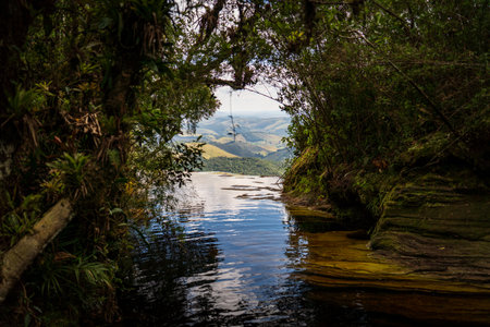 Serene River View from a Lush Forest Opening