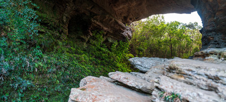 Tranquil Overhang Shelter Surrounded by Dense Greeneryの写真素材