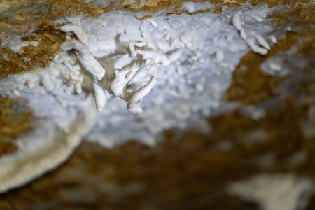 Abstract formation in a cave creating an otherworldly sceneの写真素材