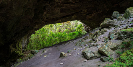 Majestic Cave Entrance Overlooking a Lush Green Forestの写真素材