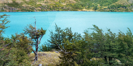 Turquoise Lake Waters Surrounded by Lush Green Treesの写真素材