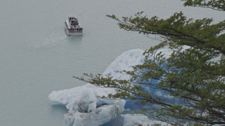 Tourist Boat Sailing by Iceberg with Wind-Swept Tree Branchesの写真素材