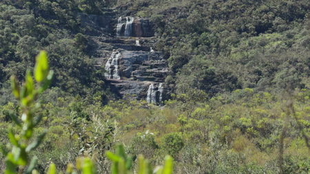 Pristine Waterfalls in Brazilian Atlantic Rainforestの写真素材