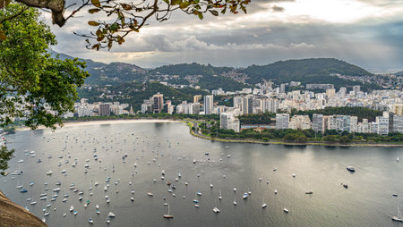 Scenic View of Sailboats Anchored in a Bustling Bay Area
