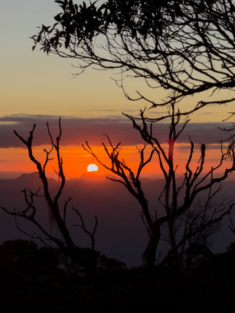 Majestic Sunset Silhouettes Against An Orange Skyの写真素材