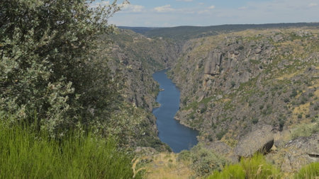 Majestic View of Duero River Canyon in Summerの写真素材