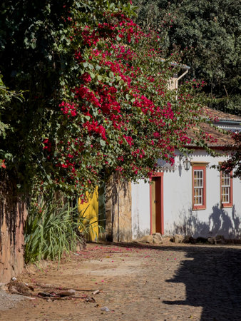 Bougainvillea Flowers Adorning a Traditional Cobblestone Streetの写真素材