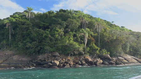 Slow Motion Video of a Paradise Island s Coastline with Dense Jungleの写真素材