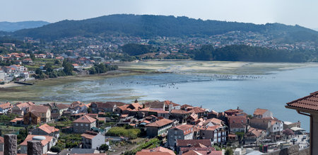 Aerial view of crowded shellfish gatherers during low tide in a Galician estuary