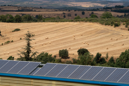 Solar Panels Overlooking a Rural Harvest Landscape