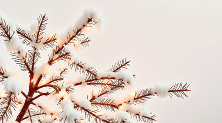 Christmas background with fir branches covered with snow and garland lights.の写真素材