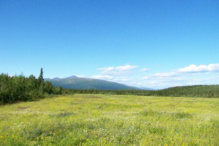 landscapeの写真素材