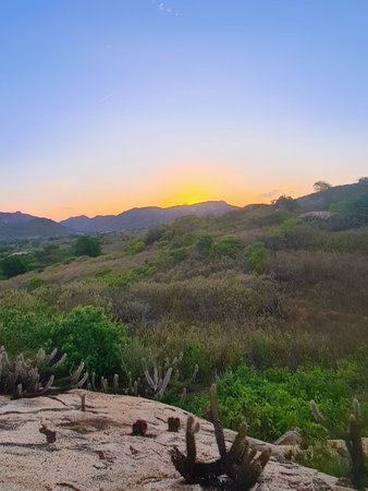 sunset view in brazilian cerradoの写真素材
