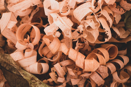 Wood shavings on the carpenter's workbench close upの写真素材