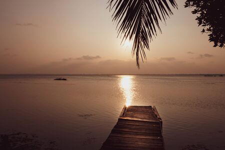 Beautiful sunset reflected in the lake, coconut tree.の写真素材