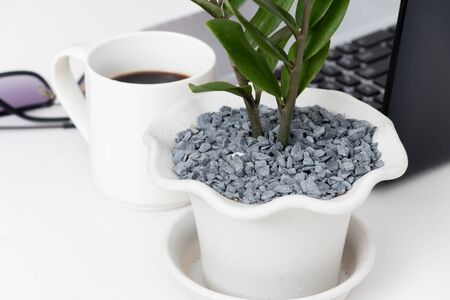 Office workplace with laptop, cup of coffee and plant on grey. Top view with copy spaceの写真素材
