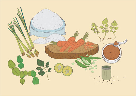 vector  illustration graphic background spices spice seasoning carrot lemon pepper peas lemon grass coriander wheat flour dough Vegetableのイラスト素材