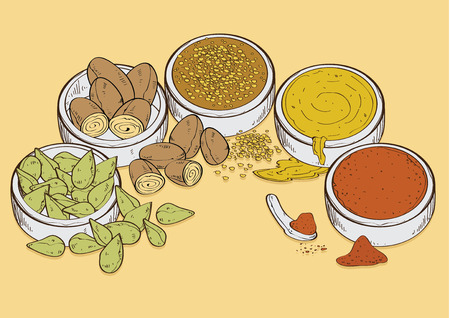 vector  illustration graphic background spices spice curry hot curry soup flavoring flavouring seasoning foodのイラスト素材
