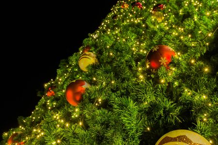 look up at christmas treeの写真素材