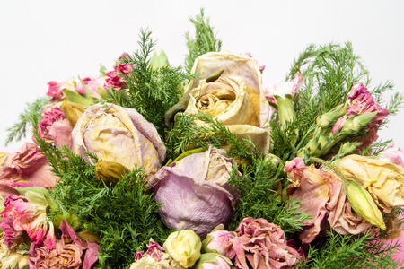 bouquet of dried withered roses on a white backgroundの写真素材