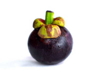 fresh mangosteen isolated on white background.The Queen of Fruitの写真素材