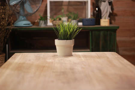 Plant pot on the tableの写真素材