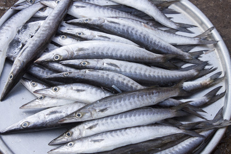 A lot of grey fish, at a market in Phu Quoc, Vietnamの写真素材
