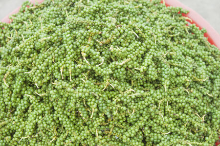 A pile of fresh, green peppercorn, at a market