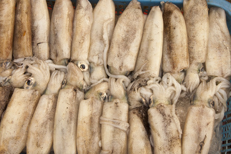 A lot of fresh squid, at a market in Phu quoc, Vietnam