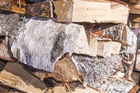 A pile of firewood, in a forrestの写真素材