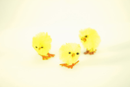 Tree yellow easter chickens, isolated on white backgroundの写真素材