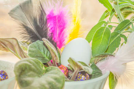 Eggs hidden in a easter egg junt