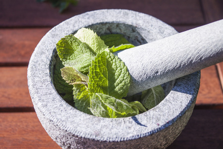 Green mint herbs in a grey stone mortarの写真素材