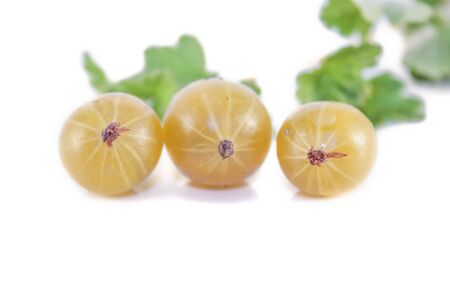 Tree yellow gooseberries, isolated on white backgroundの写真素材