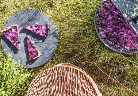 Bilberry, vaccinium myrtillus pie, at a picknick, in the forrestの写真素材