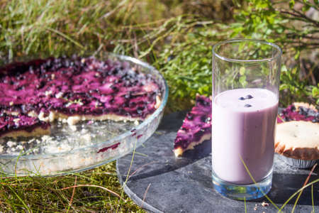 A glass of Bilberry yoghurt, vaccinium myrtillus, in front of blueberry pies, at a picknickの写真素材